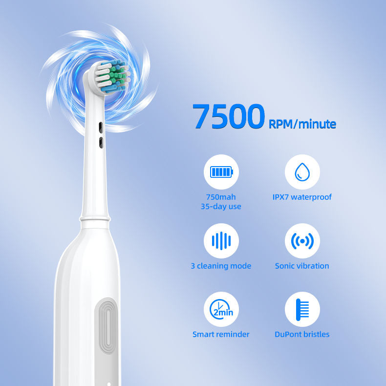 Rotating Cleaning Appliances OEM Custom Type-C Charging Electric Toothbrush with Logo