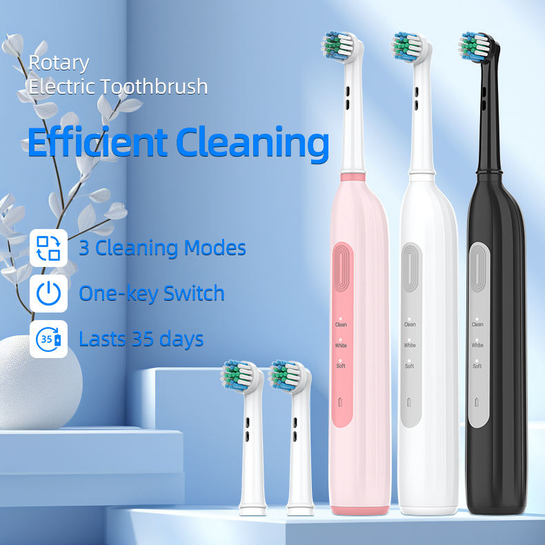 Rotating Cleaning Appliances OEM Custom Type-C Charging Electric Toothbrush with Logo