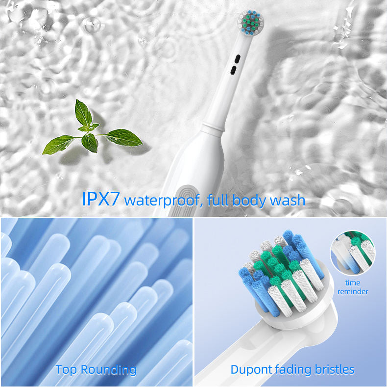 Rotating Cleaning Appliances OEM Custom Type-C Charging Electric Toothbrush with Logo
